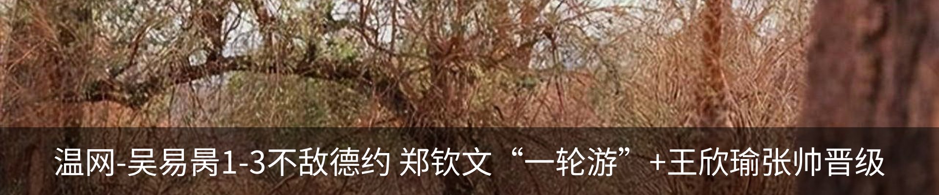 内页banner